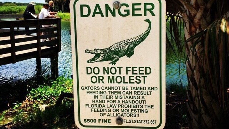 Do NOT molest the alligators. #waterlust