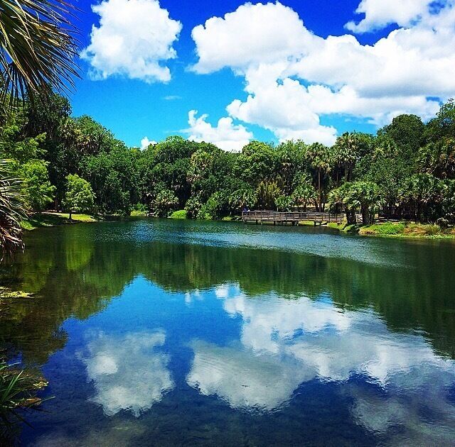 View from the fishing pier. Watch out for the alligators! #blue