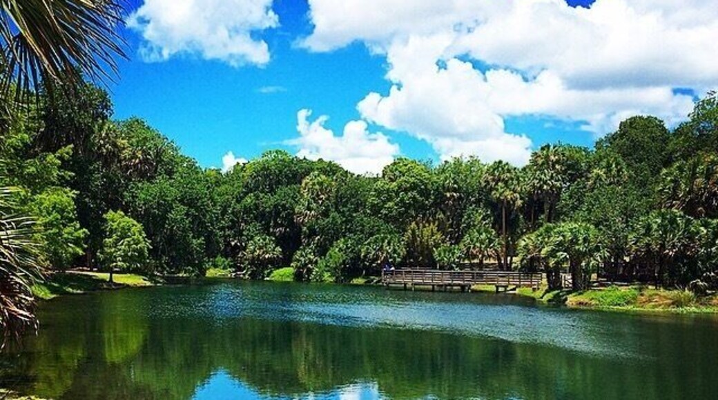 View from the fishing pier. Watch out for the alligators! #blue