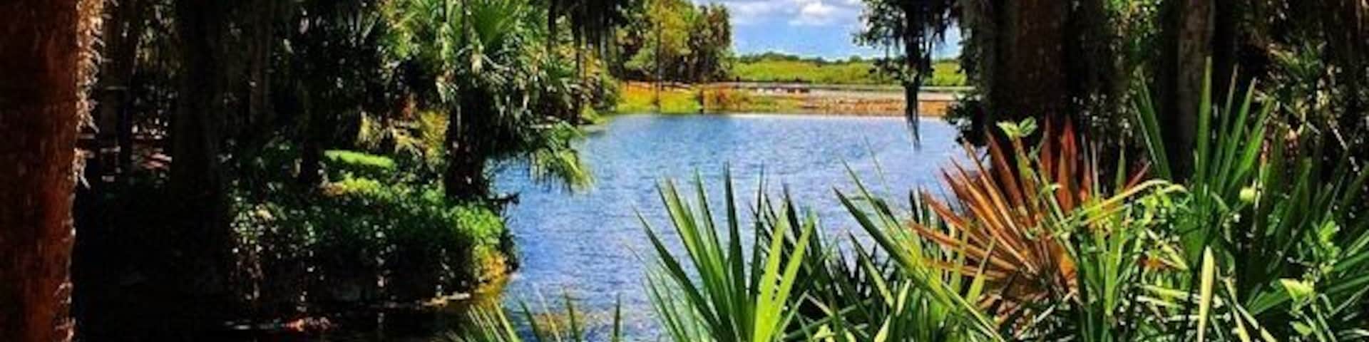 Perfect for a lazy weekend stroll. Free entrance. #blue