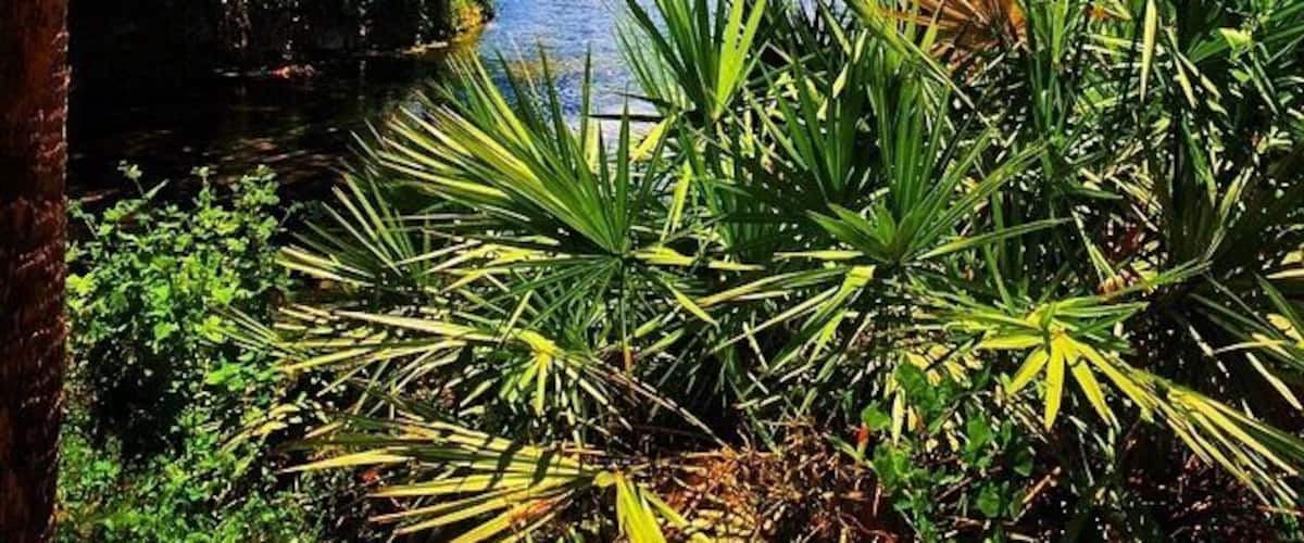 Perfect for a lazy weekend stroll. Free entrance. #blue