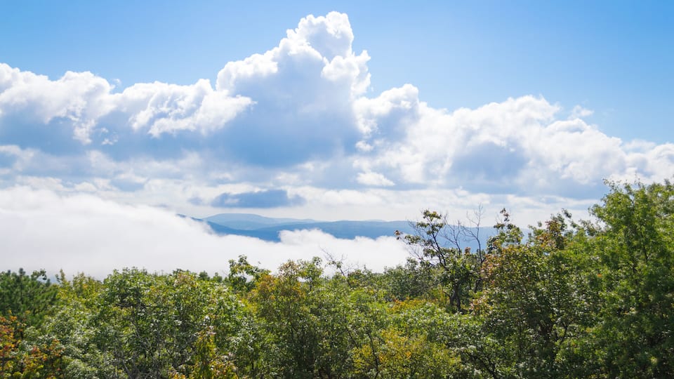 A landscape with a clear sky, fluffy clouds, and dense green foliage.