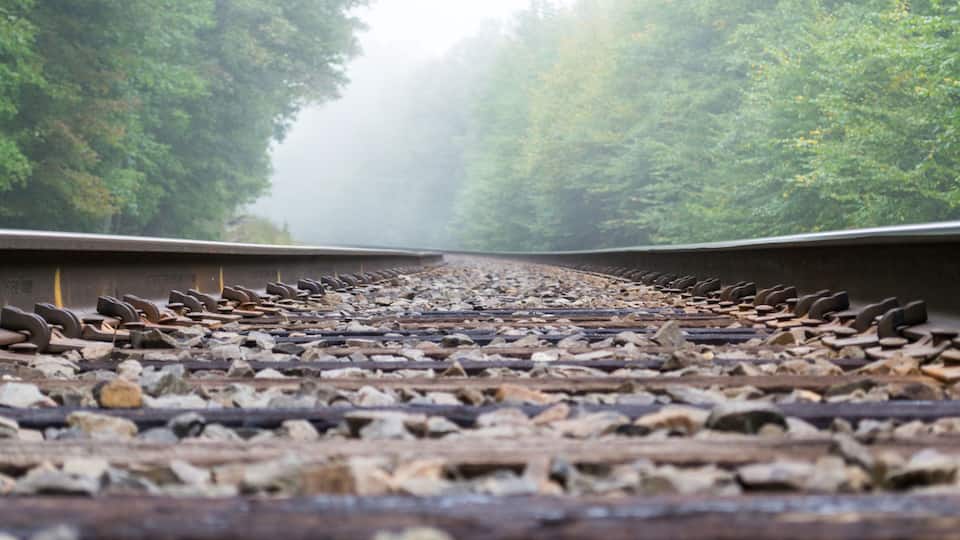 A railway track surrounded by dense forest.