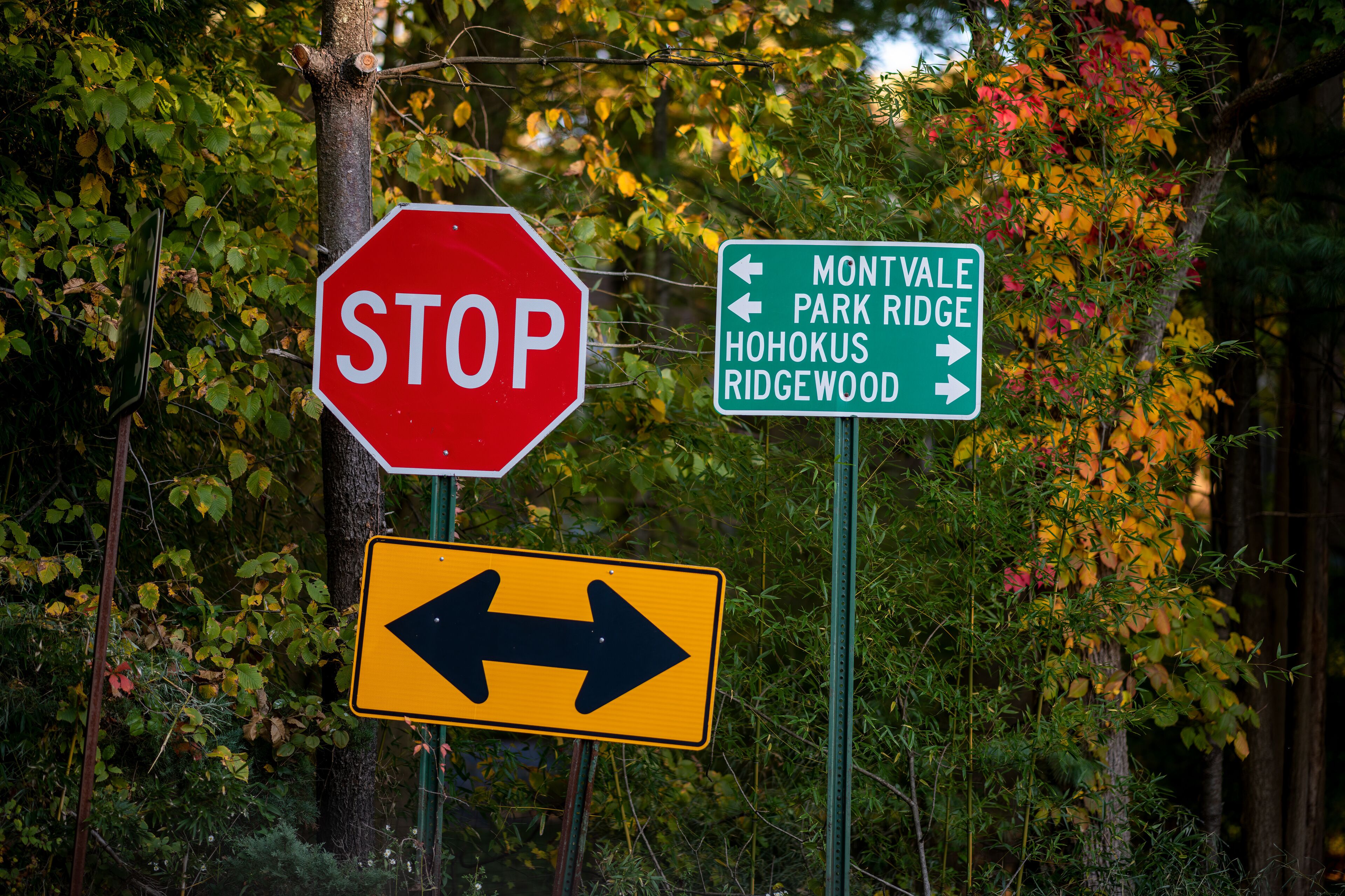 At a road intersection, a stop sign and directional signs point towards Montvale, Park Ridge, Hohokus, and Ridgewood amidst vibrant autumn leaves. Sunlight filters through the trees.