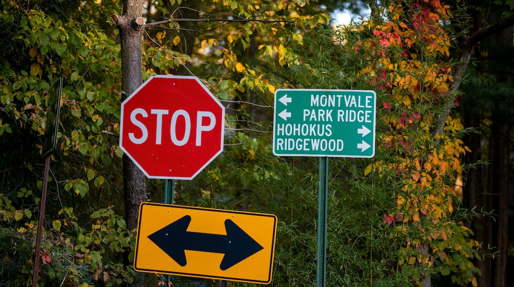 At a road intersection, a stop sign and directional signs point towards Montvale, Park Ridge, Hohokus, and Ridgewood amidst vibrant autumn leaves. Sunlight filters through the trees.