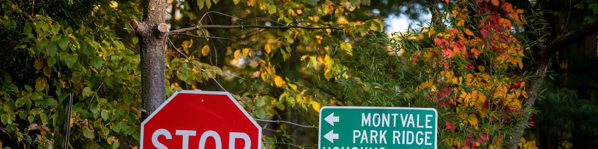 At a road intersection, a stop sign and directional signs point towards Montvale, Park Ridge, Hohokus, and Ridgewood amidst vibrant autumn leaves. Sunlight filters through the trees.