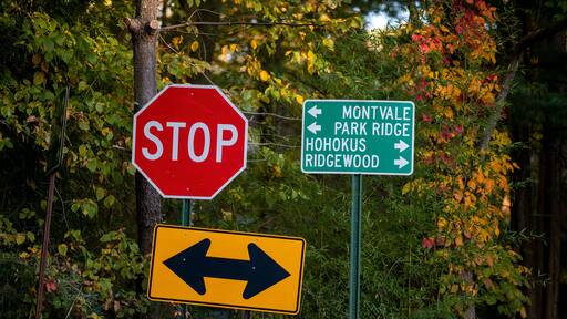 At a road intersection, a stop sign and directional signs point towards Montvale, Park Ridge, Hohokus, and Ridgewood amidst vibrant autumn leaves. Sunlight filters through the trees.