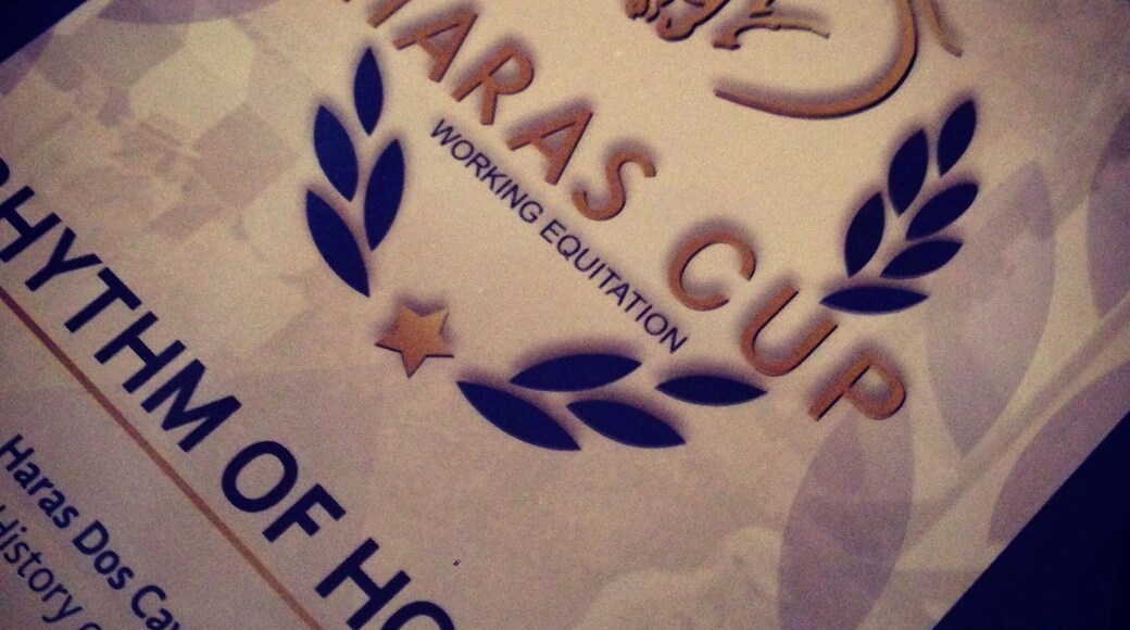 #Haras Cup #WorkingEquitation