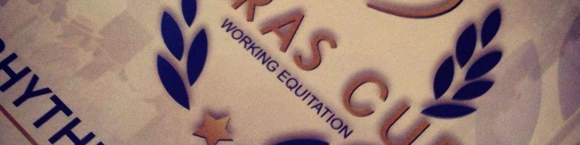 #Haras Cup #WorkingEquitation