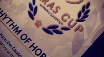 #Haras Cup #WorkingEquitation