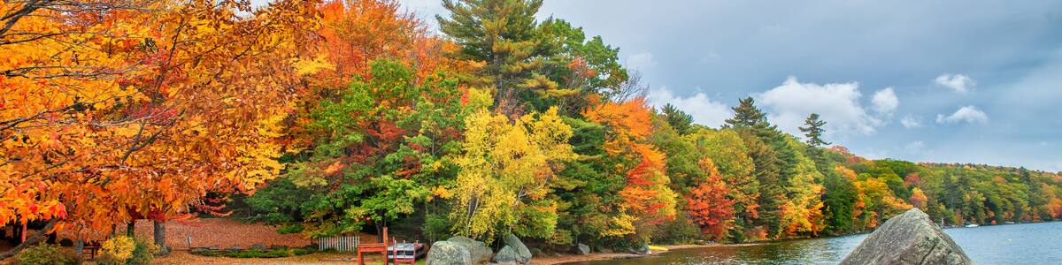 Foliage colors of Phillips Lake, Dedham, ME