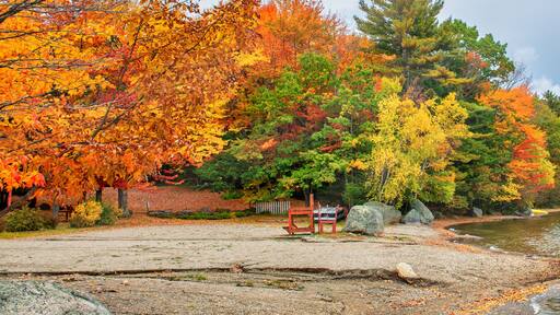 Foliage colors of Phillips Lake, Dedham, ME