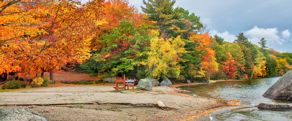 A lakeside park with autumn foliage, a wooden bench, and large rocks by the water.