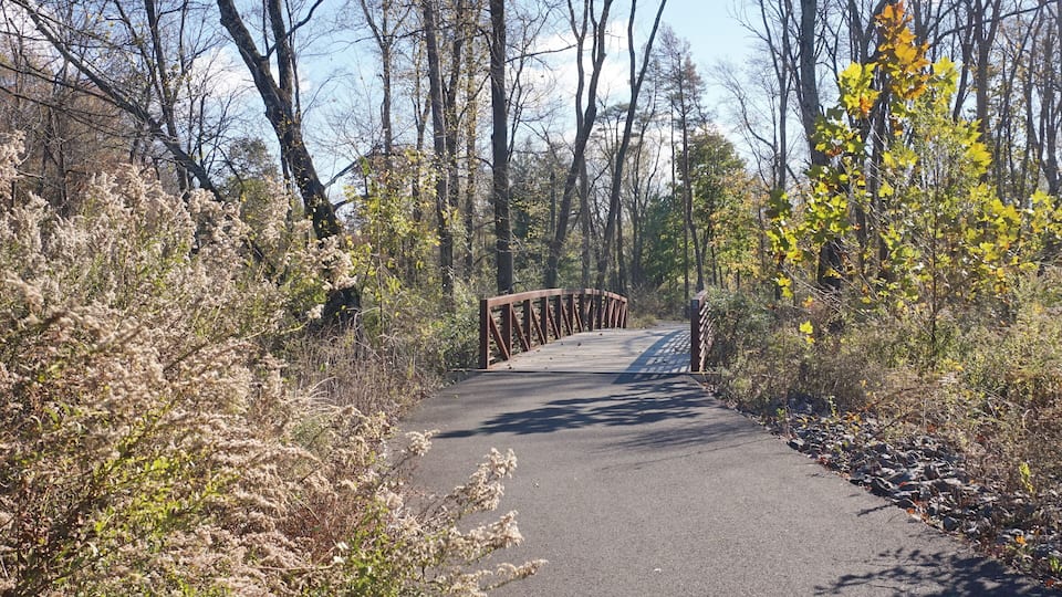 A paved path leading through a forest with a wooden bridge.