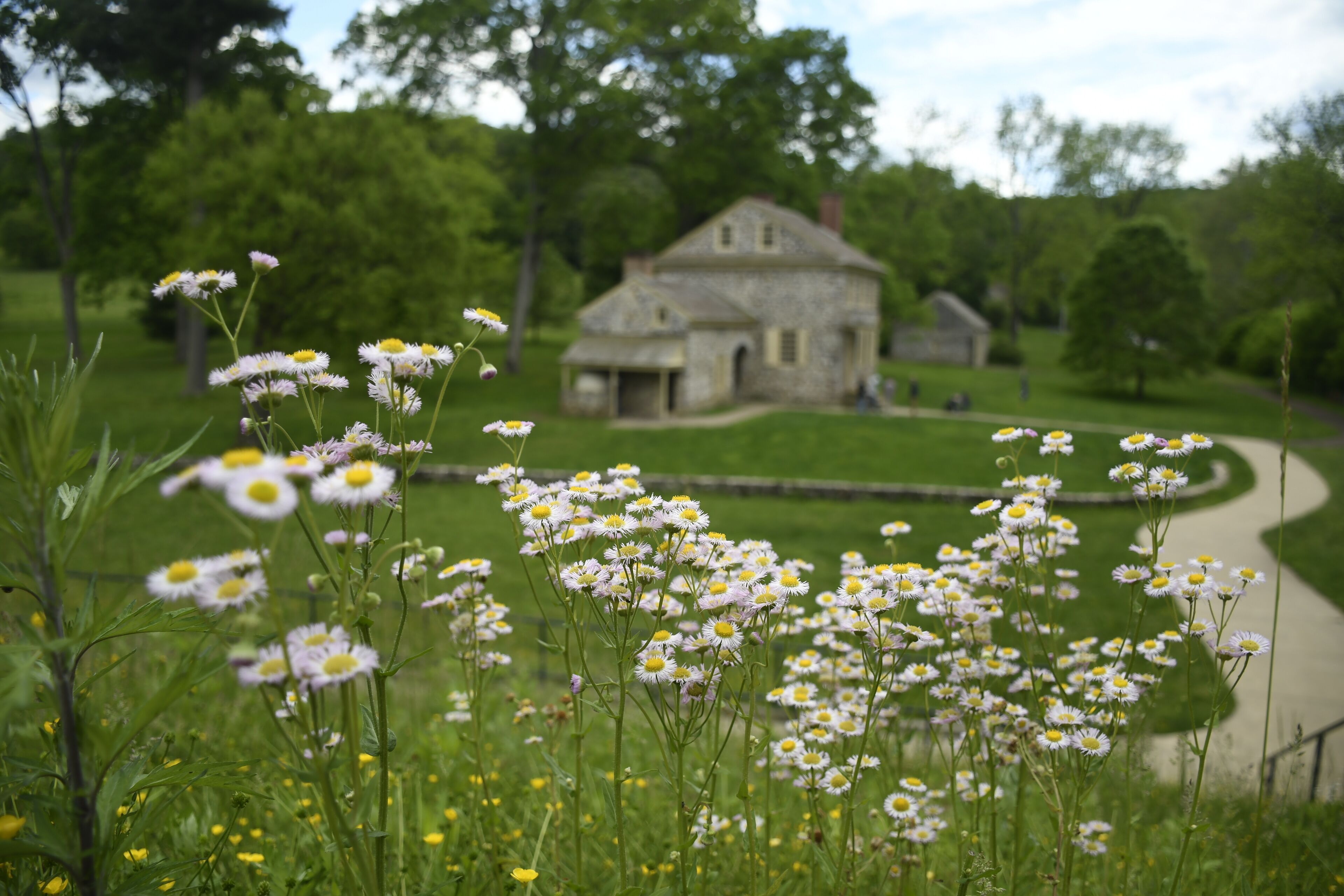 沃明斯特设有游泳池的热门住宿

