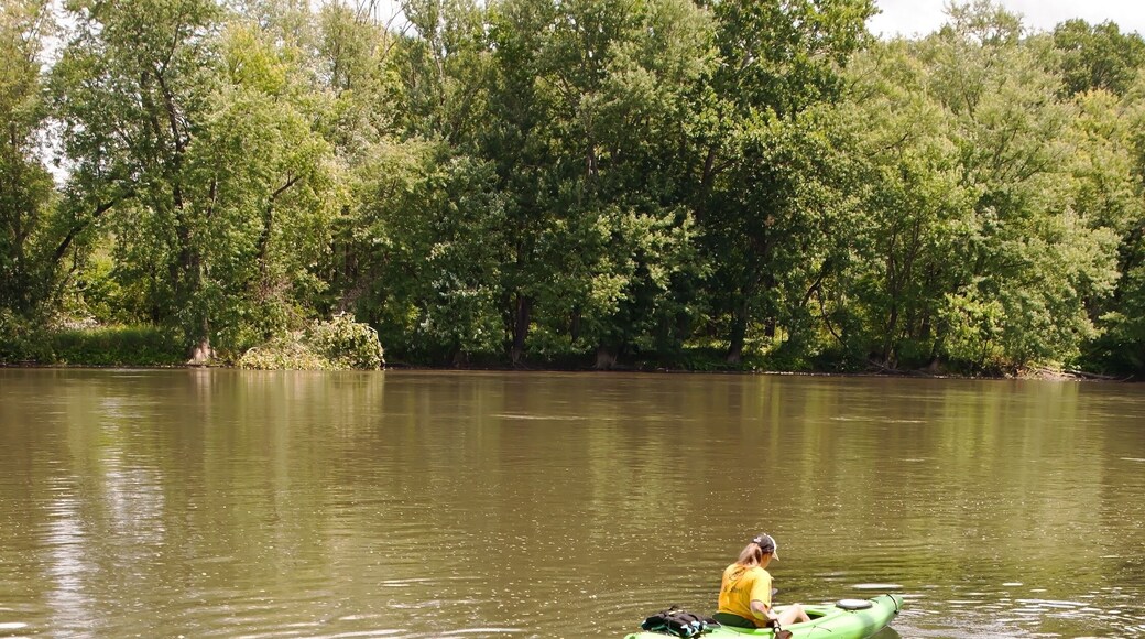 A man and woman in kayaks entering the Allegheny River in Warren county Pennsylvania, USA on a summer day