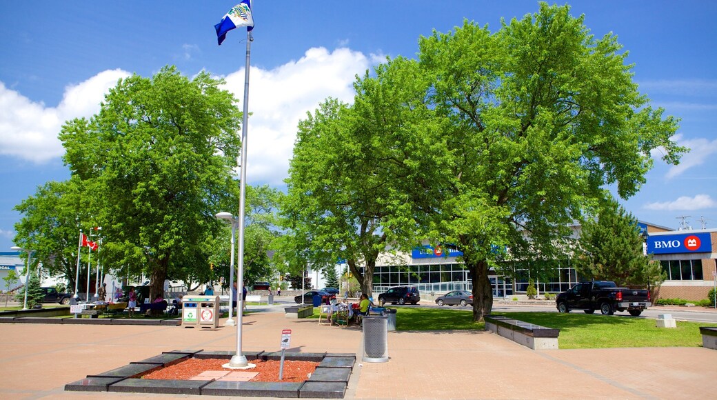 Corner Brook showing a square or plaza