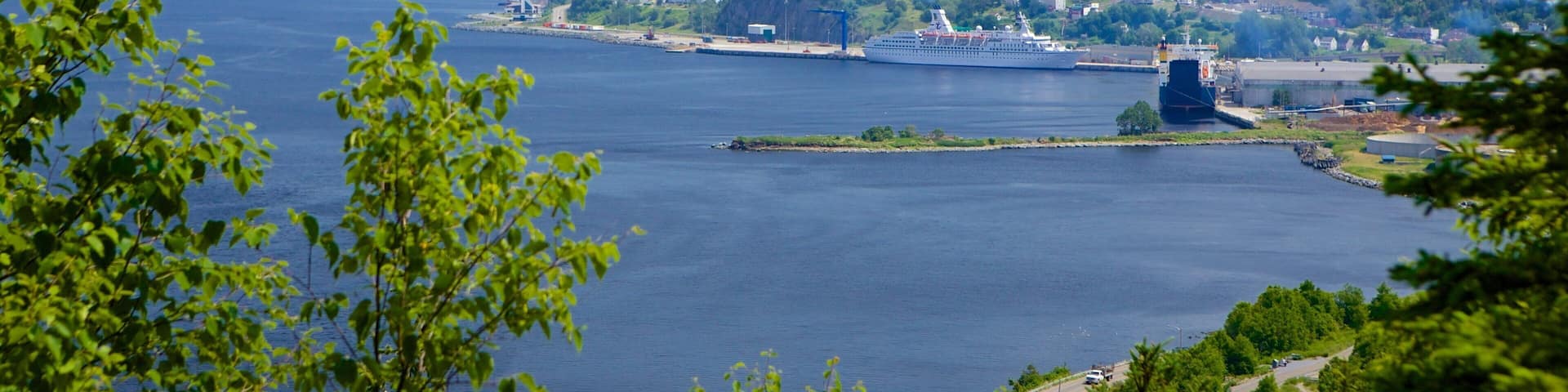 Corner Brook che include baia e porto