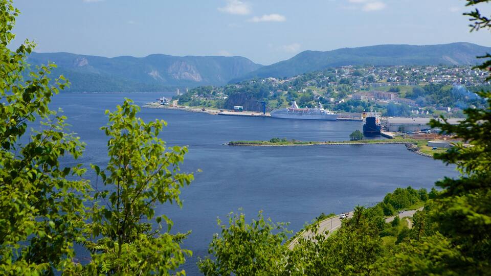 A river with a bridge, a ship, and a town in the background.