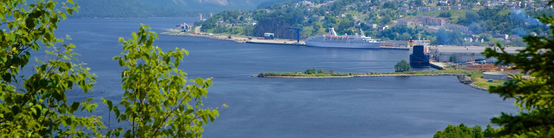 Corner Brook featuring a bay or harbor