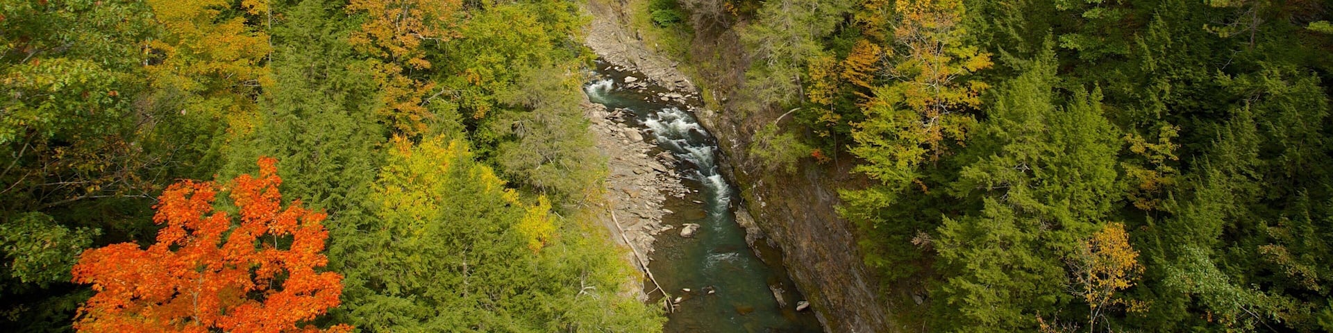 Quechee featuring a river or creek and forest scenes