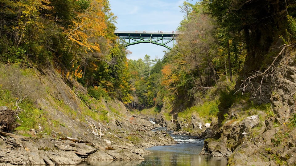 A river flowing through a rocky gorge with autumn foliage and a bridge in the background.