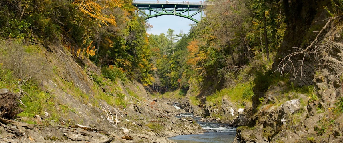 Quechee featuring forest scenes, a river or creek and tranquil scenes