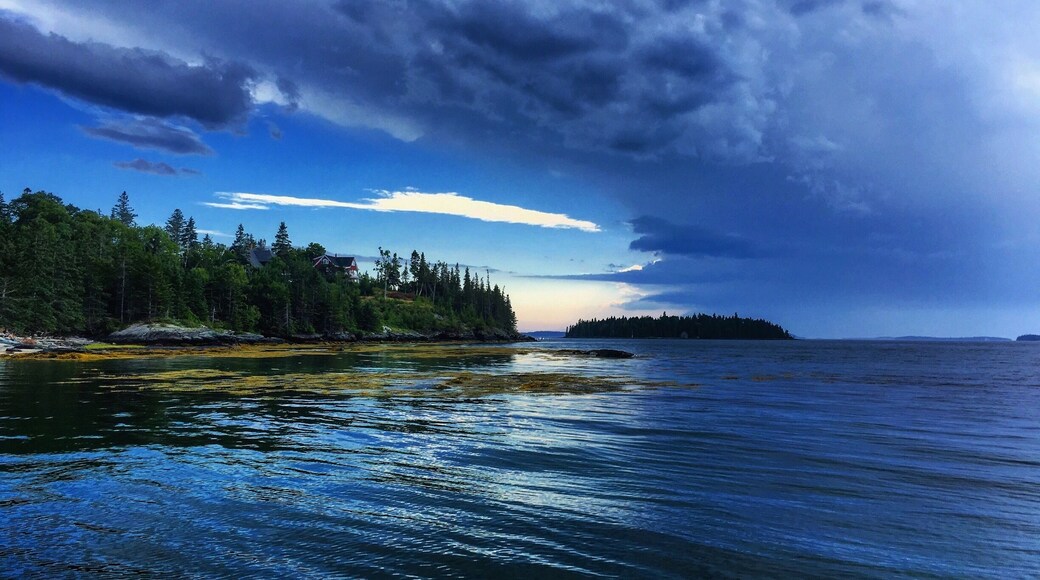 Dark n' stormy Downeast