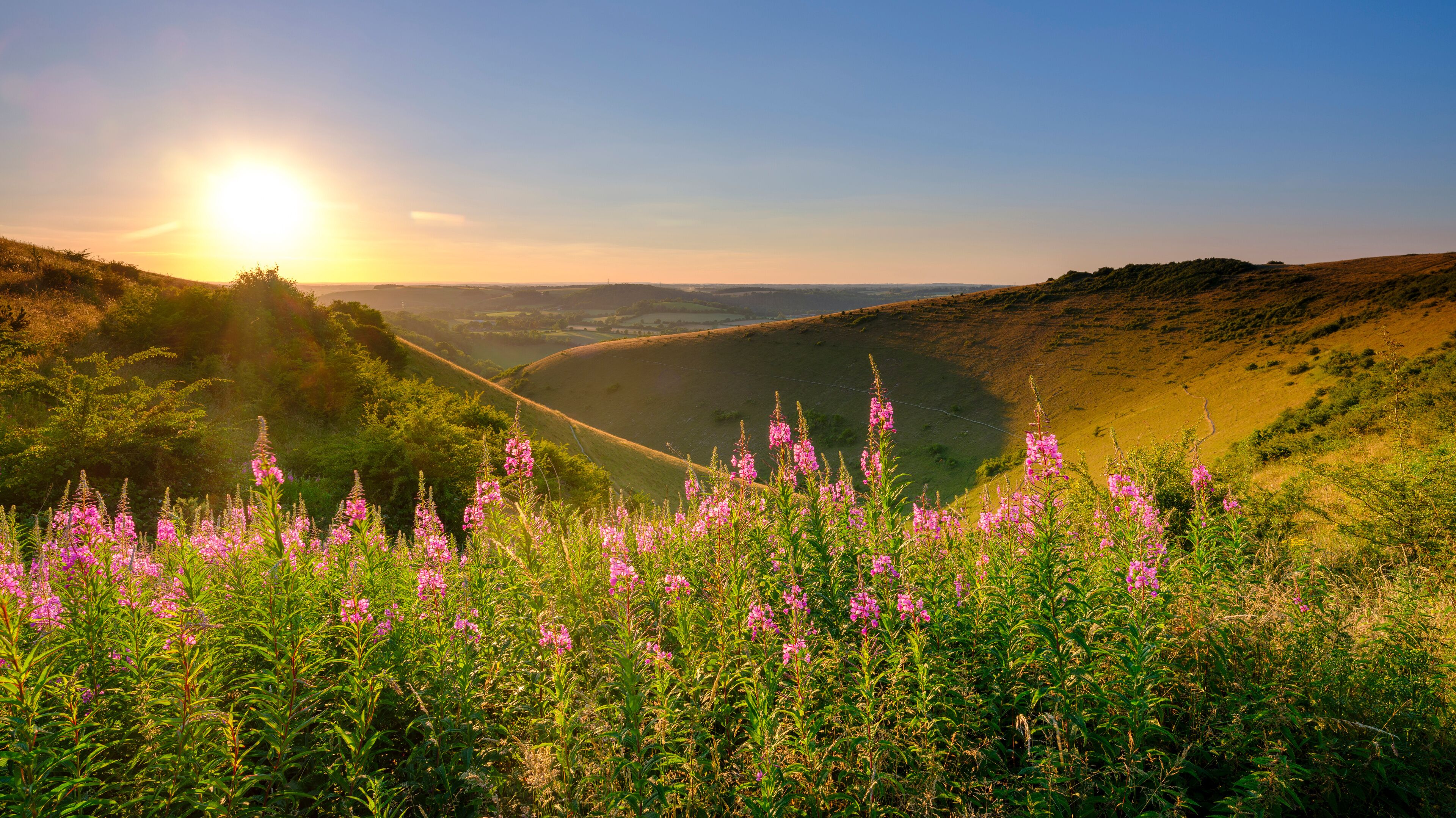Mid-summer sunset over the Meon Valley from Butser Hill, South Downs National Park, UK