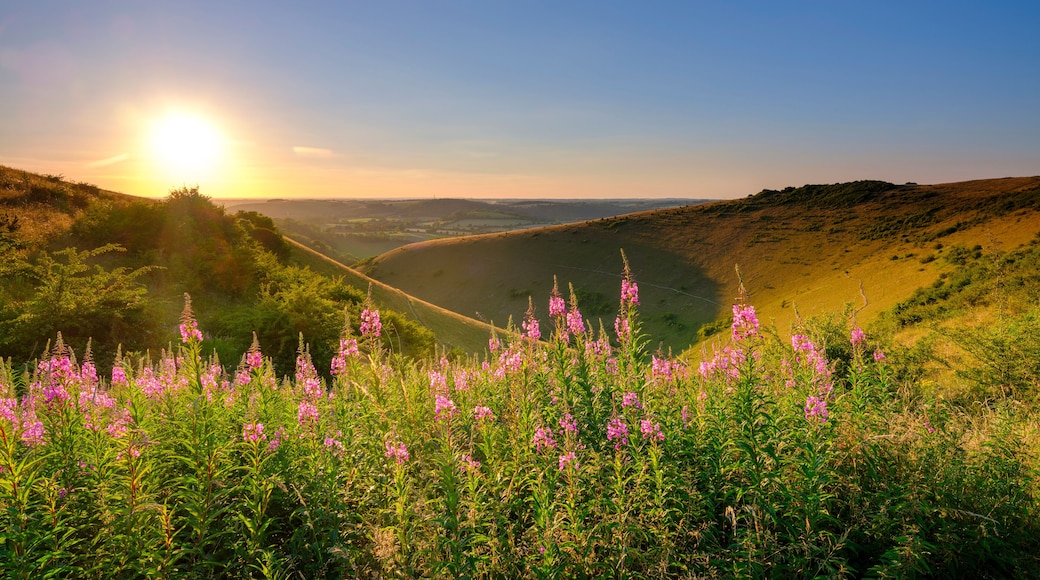 Mid-summer sunset over the Meon Valley from Butser Hill, South Downs National Park, UK