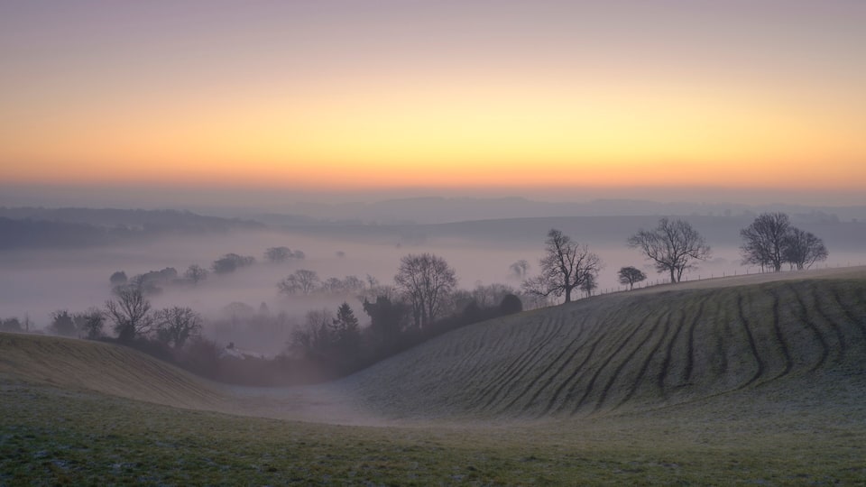A misty landscape with rolling hills and scattered trees during sunrise or sunset.