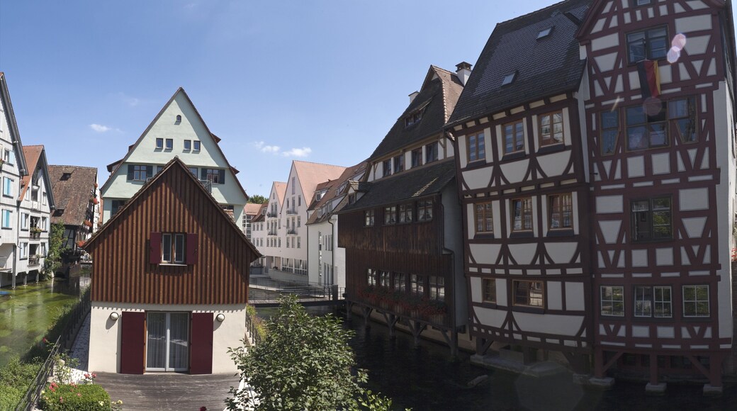 Ulm som inkluderer historisk arkitektur og hus