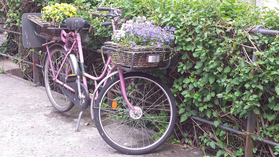 Flower bike find near the Danube River.