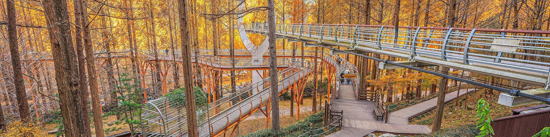 Un puente de madera con barandas metálicas, rodeado de árboles de tonos otoñales.
