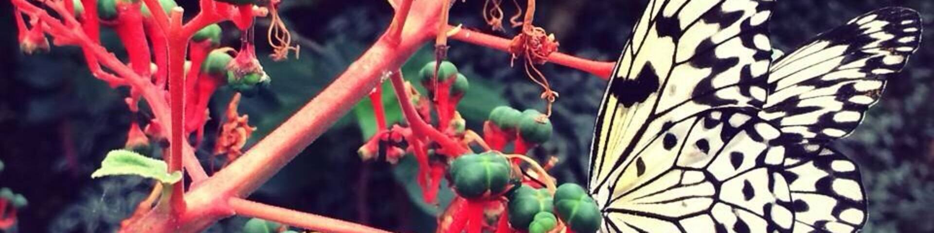 This place will put an instant smile on your face and freak you out at the same time.