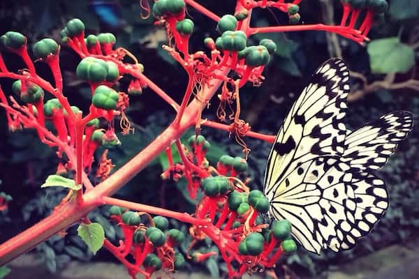 This place will put an instant smile on your face and freak you out at the same time.