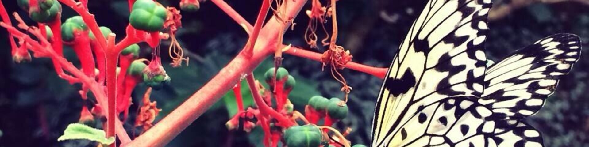 This place will put an instant smile on your face and freak you out at the same time.