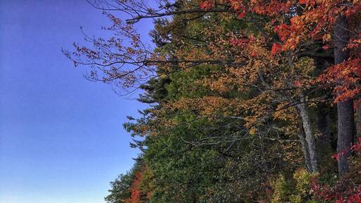 Pleasant Lake
New Hampshire
October 2016