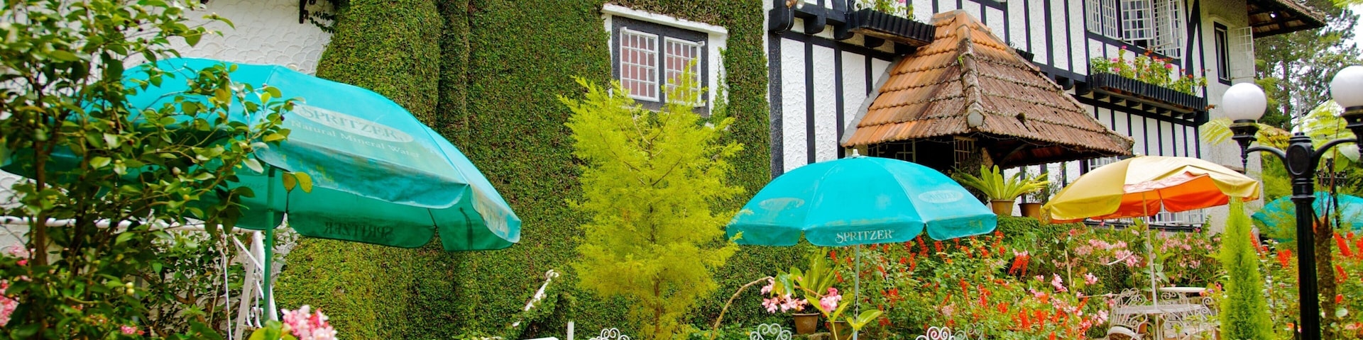 Cameron Highlands which includes a small town or village and a house