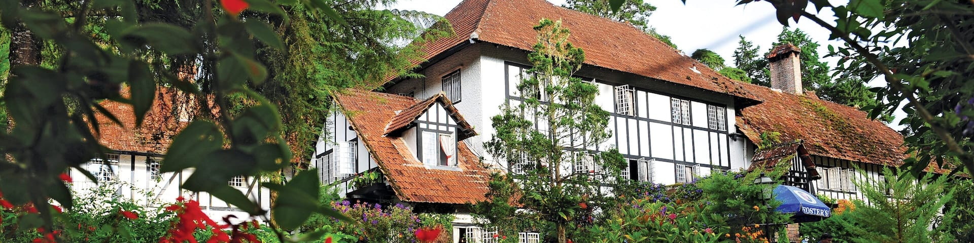 Cameron Highlands featuring a small town or village, heritage elements and wildflowers