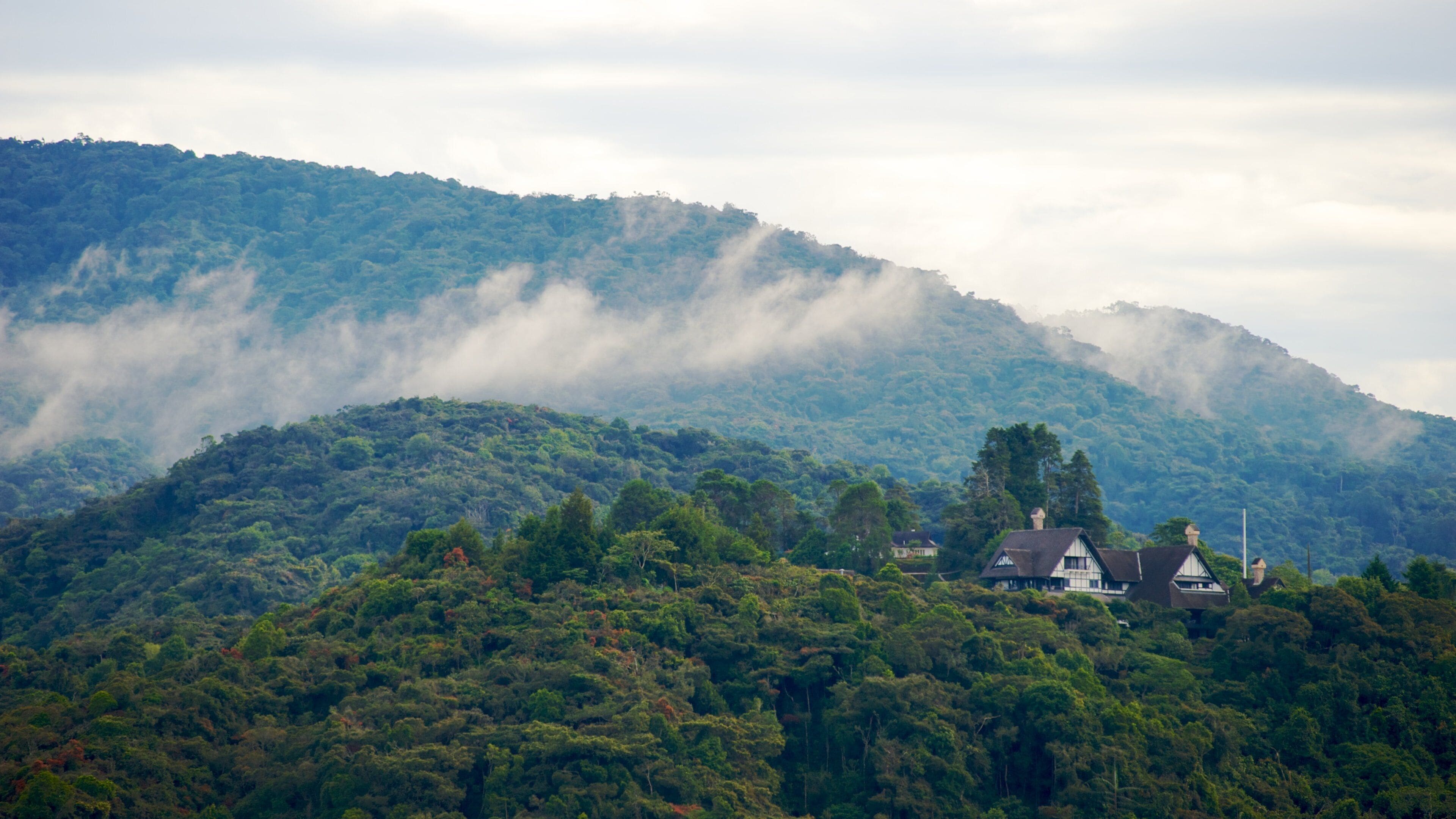 Cameron Highlands ofreciendo bosques, montañas y vistas de paisajes