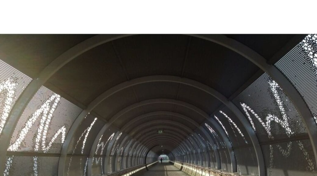 A perfect example of tunnel vision #design