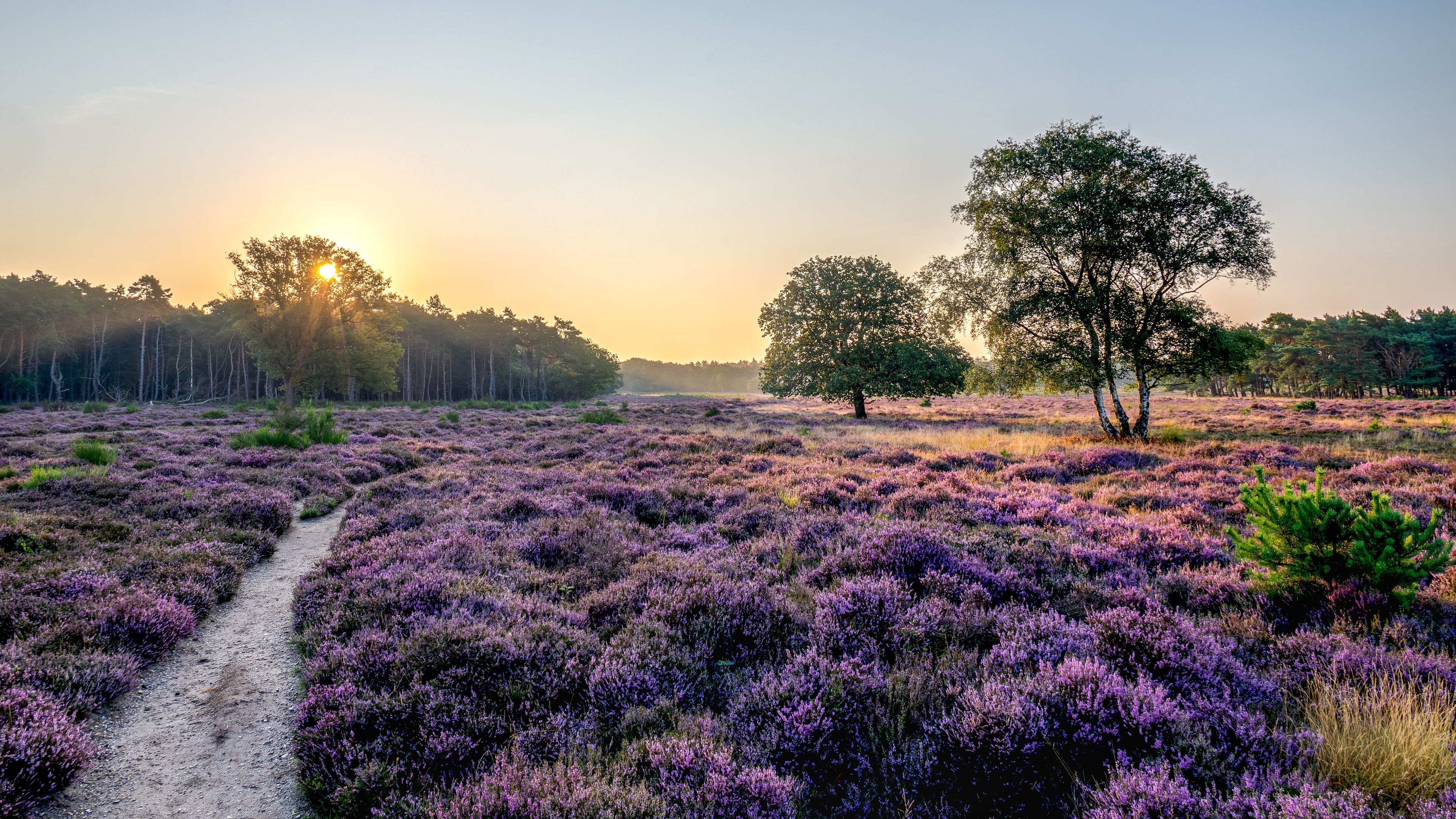 Hilversum