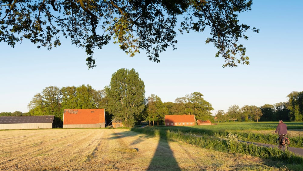 man on bicycle near old barns and farm at sunset in rural area of twente near oldenzaal in holland