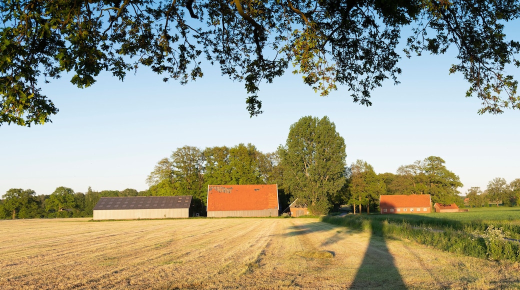 man on bicycle near old barns and farm at sunset in rural area of twente near oldenzaal in holland