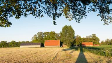 man on bicycle near old barns and farm at sunset in rural area of twente near oldenzaal in holland