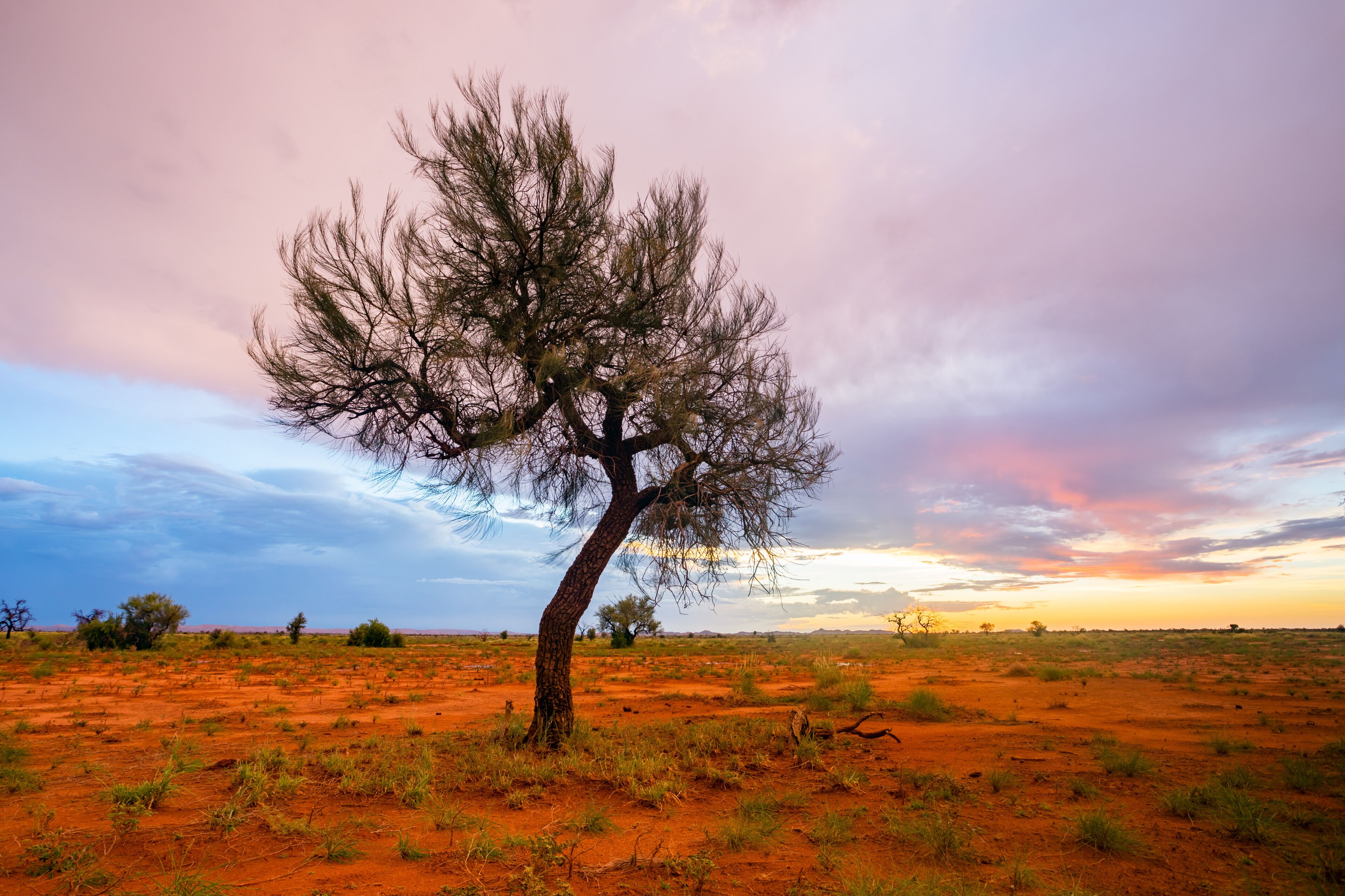 Centro da Cidade de Port Hedland