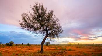 Centro da Cidade de Port Hedland