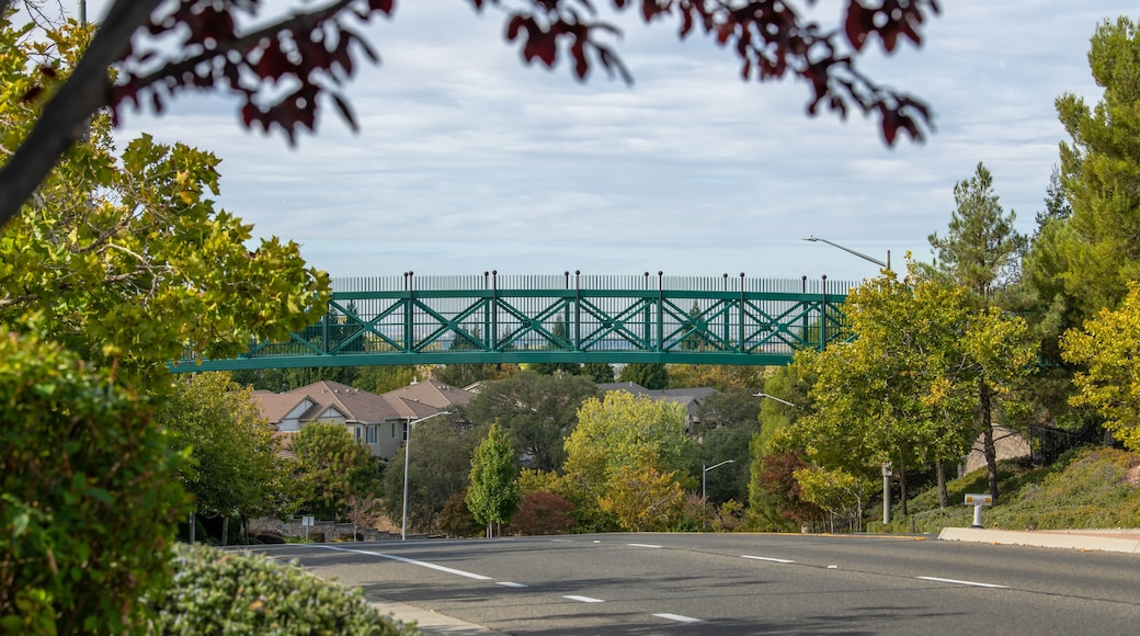 Footbridge in Rocklin