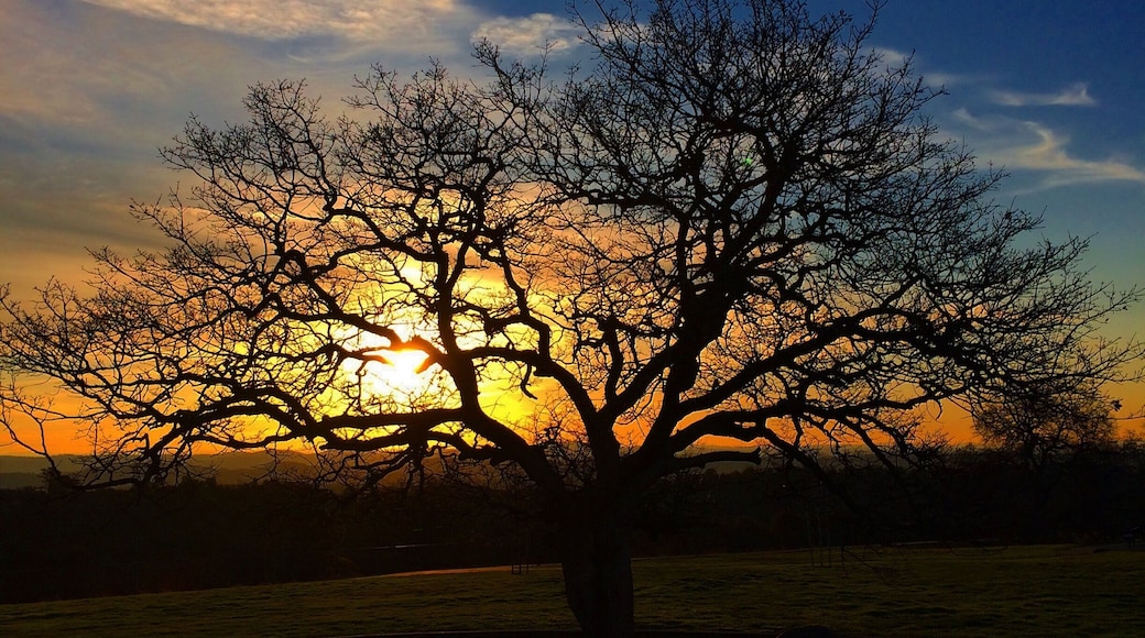 Watching the sunrise!